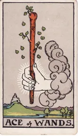 ace-of-wands